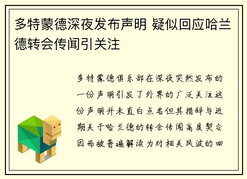 多特蒙德深夜发布声明 疑似回应哈兰德转会传闻引关注